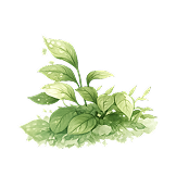 A small idea plant